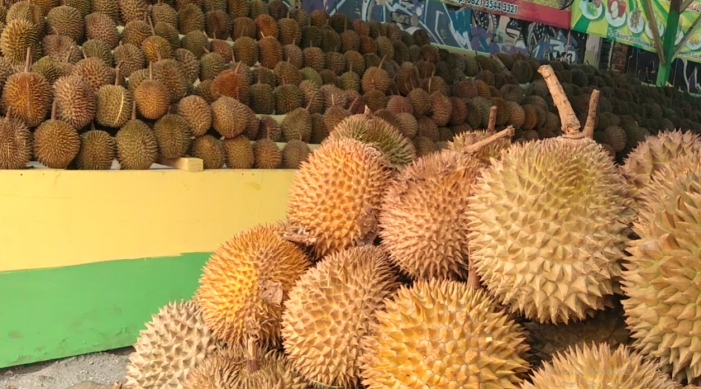 CV Jodha Buah Godean, Bagi Penggemar Durian Palembang